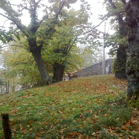 布鲁纳酒店 利扎诺因贝尔韦代雷