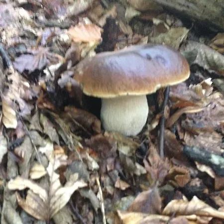 Bruna Ξενοδοχείο 3*