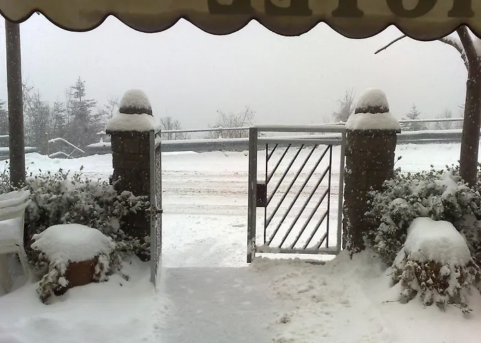 Bruna 3* ليتسانو في بلفيردي