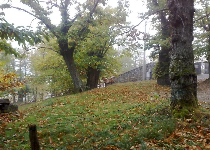 Bruna ليتسانو في بلفيردي