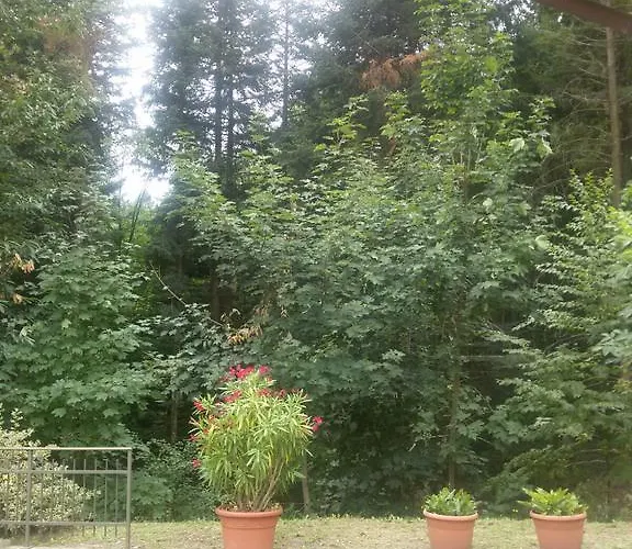 Bruna 3* ليتسانو في بلفيردي